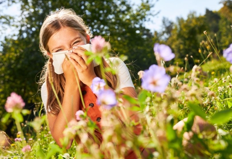 Pollen Allergy