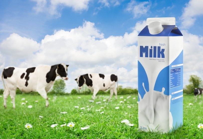 What is Cow's Milk Allergy